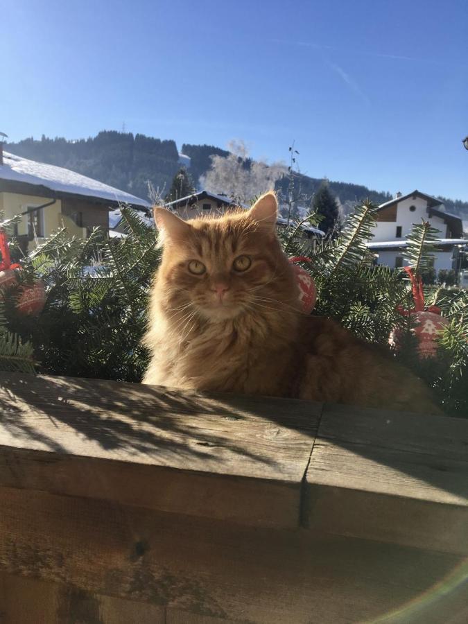 Ferienwohnung Haus Gruber Altenmarkt im Pongau Exterior foto